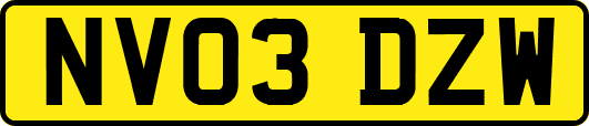 NV03DZW