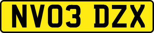 NV03DZX