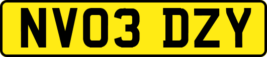 NV03DZY