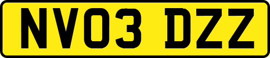NV03DZZ