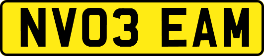 NV03EAM