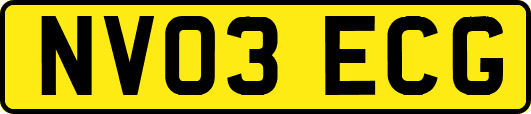 NV03ECG
