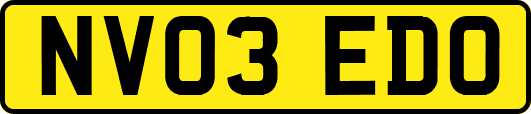NV03EDO