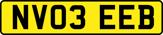 NV03EEB