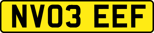 NV03EEF