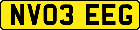 NV03EEG