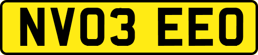 NV03EEO
