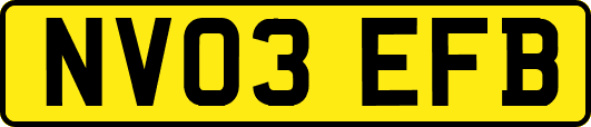 NV03EFB