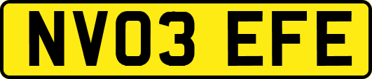 NV03EFE
