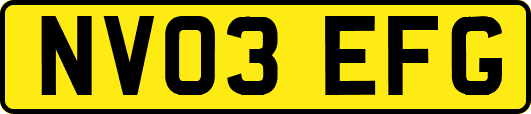 NV03EFG