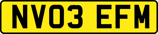 NV03EFM