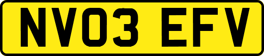 NV03EFV