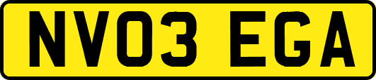 NV03EGA
