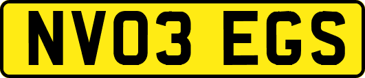 NV03EGS