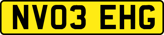 NV03EHG