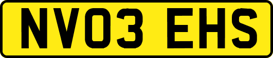 NV03EHS