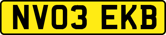 NV03EKB