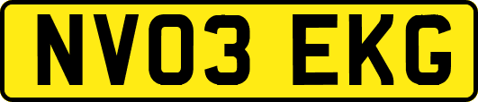 NV03EKG