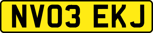NV03EKJ