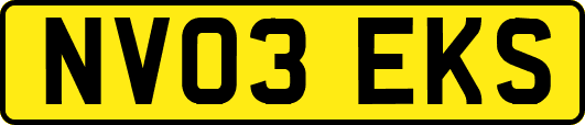 NV03EKS