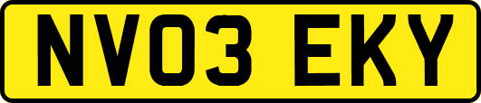 NV03EKY