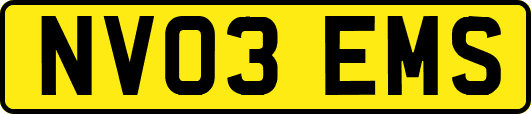 NV03EMS