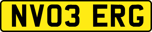NV03ERG