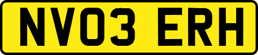 NV03ERH