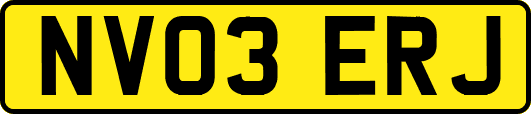NV03ERJ