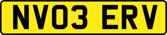 NV03ERV