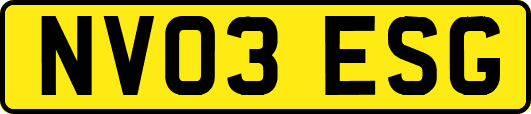NV03ESG