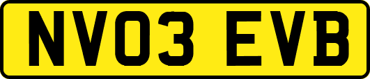 NV03EVB