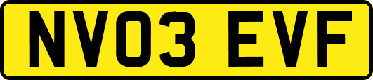 NV03EVF