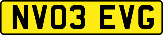NV03EVG