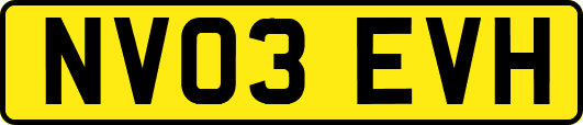 NV03EVH