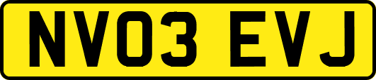 NV03EVJ
