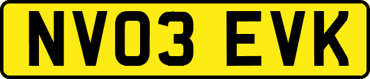 NV03EVK