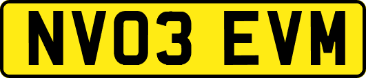 NV03EVM