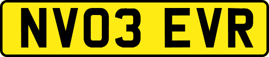 NV03EVR