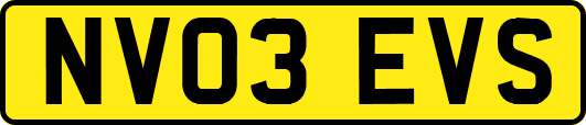 NV03EVS
