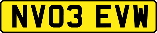 NV03EVW