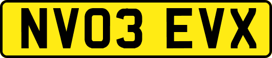 NV03EVX