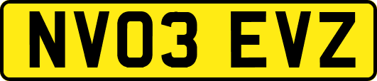 NV03EVZ