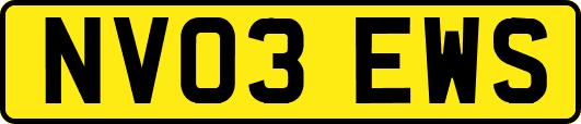 NV03EWS