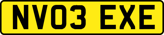 NV03EXE