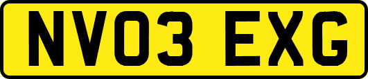 NV03EXG