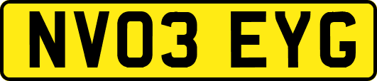 NV03EYG