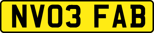 NV03FAB