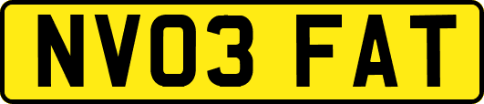 NV03FAT