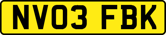 NV03FBK